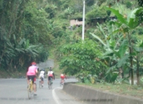 Fotos