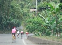 Fotos
